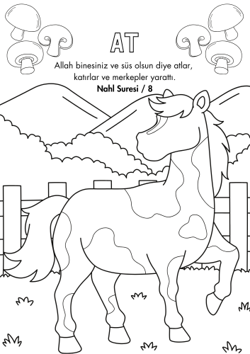 Kitabımı Tanıyorum Hayvanlar ve Meyveler